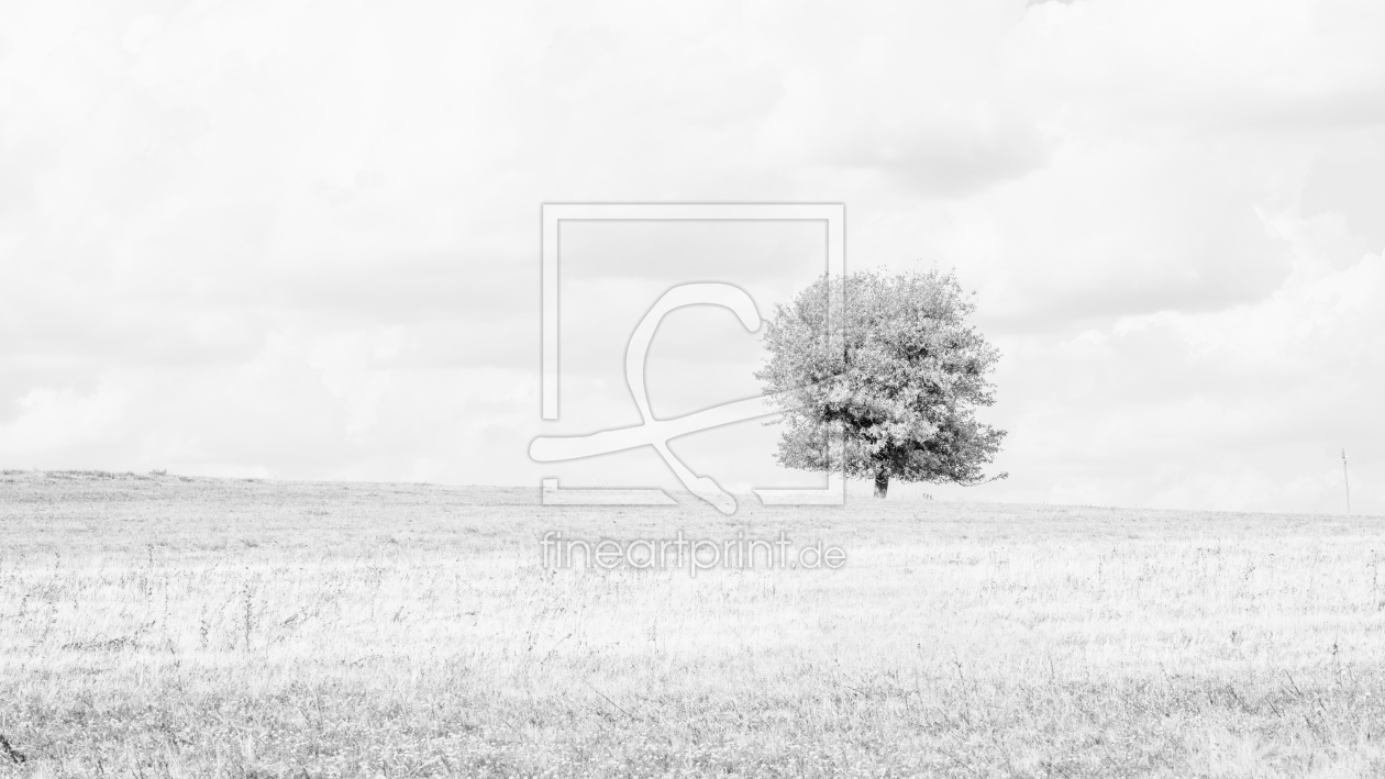 Bild-Nr.: 12256331 Einsamer Baum - Highkey 73 erstellt von Erhard Hess