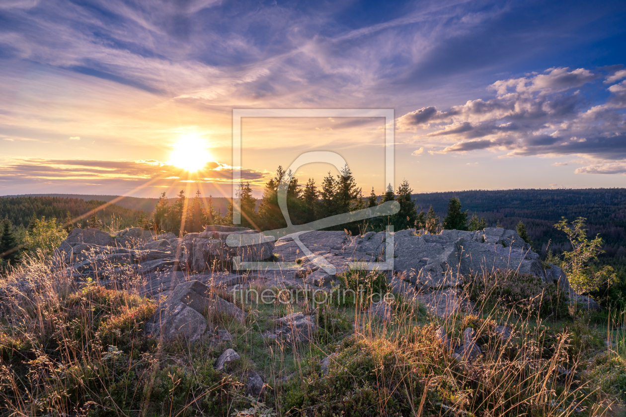 Bild-Nr.: 12259405 Nationalpark Harz erstellt von Steffen Henze