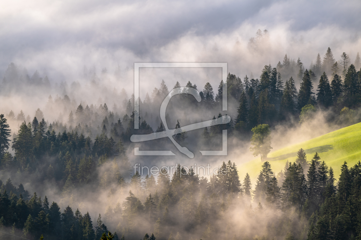 Bild-Nr.: 12262193 Morgennebel erstellt von Achim Thomae