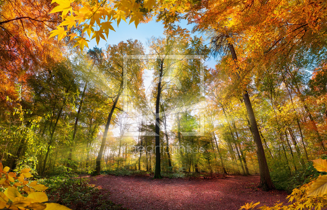 Bild-Nr.: 12263706 Stimmungsvolle Herbstszene in bunten Farben erstellt von Smileus