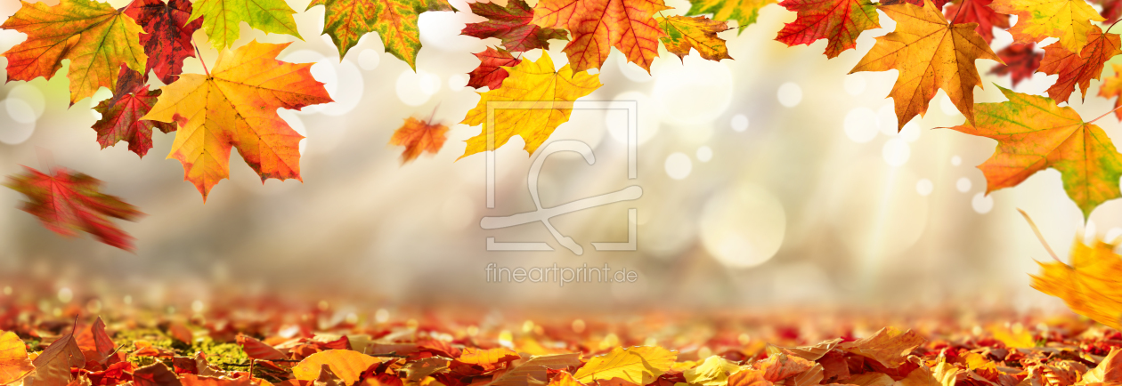Bild-Nr.: 12267235 Herbstblätter umrahmen unschaften Hintergrund erstellt von Smileus