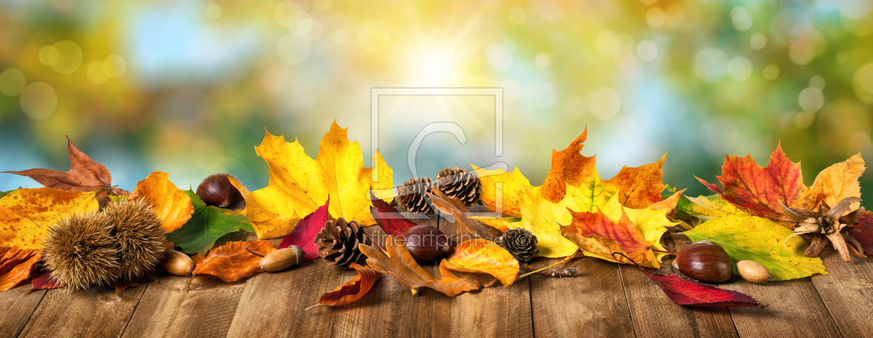 Bild-Nr.: 12267237 Herbstblätter auf Natur Hintergrund erstellt von Smileus