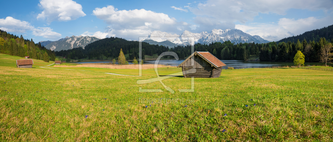 Bild-Nr.: 12275532 Enzianwiese am Geroldsee erstellt von SusaZoom