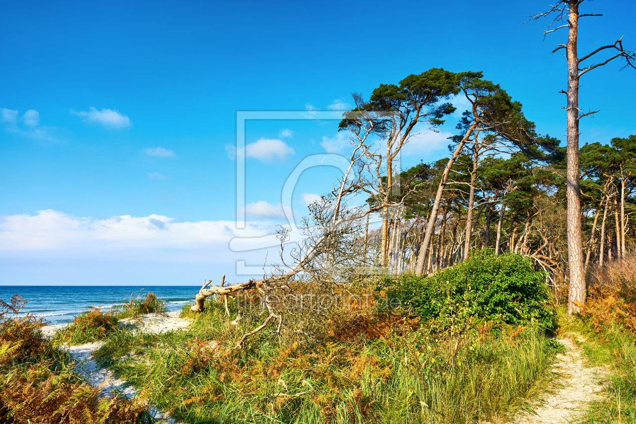 Bild-Nr.: 12276959 Darß Weststrand erstellt von Reiner Würz