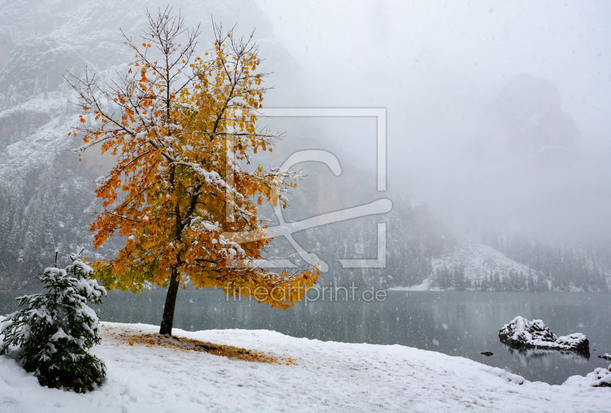 Bild-Nr.: 12277677 Herbst und Winter erstellt von Bettina Schnittert