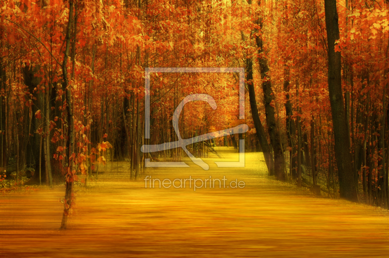 Bild-Nr.: 12286709 Herbstimpression erstellt von Atteloi