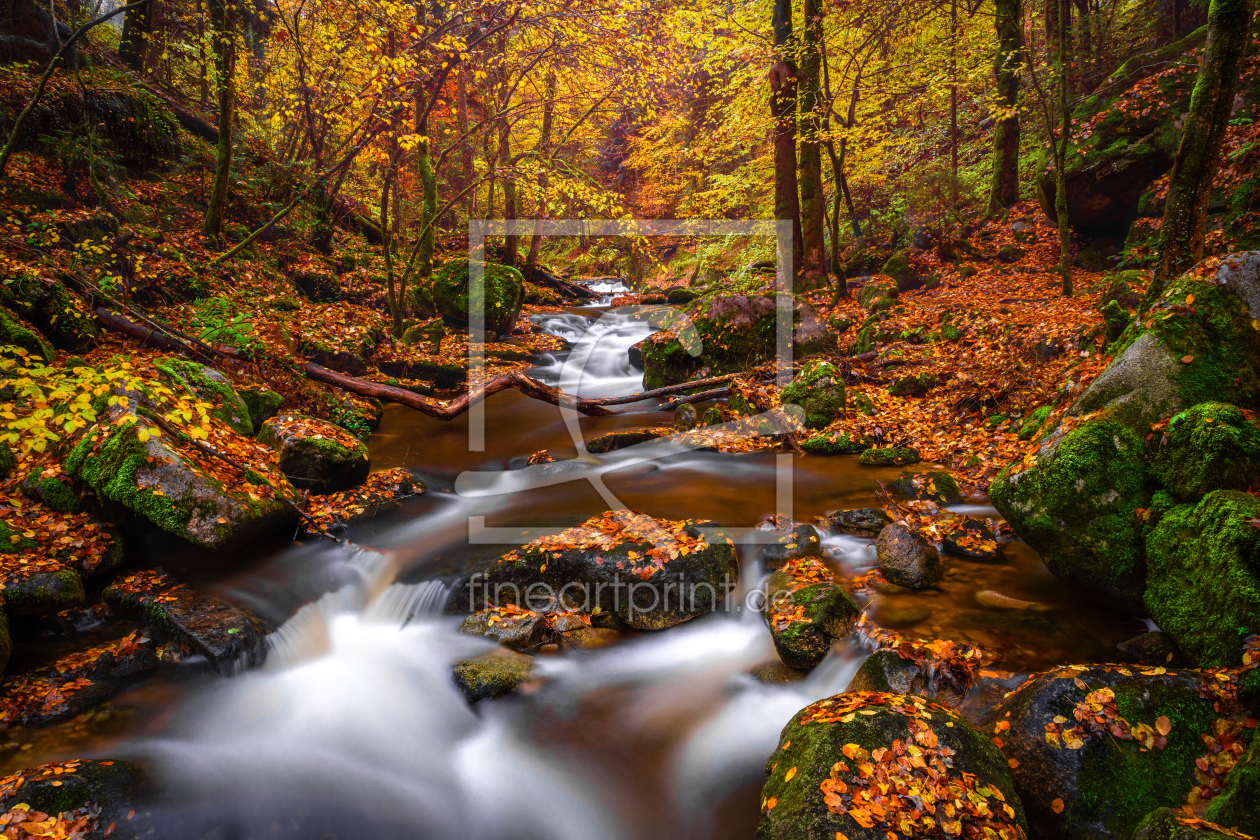 Bild-Nr.: 12289098 Herbstwald erstellt von Thomas Koch