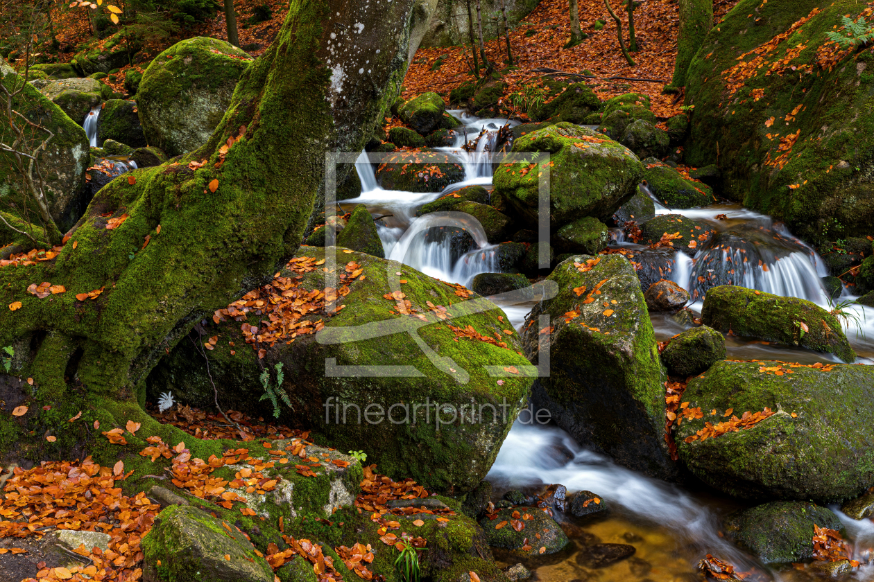 Bild-Nr.: 12291182 Wildbach im Schwarzwald erstellt von Thomas Herzog