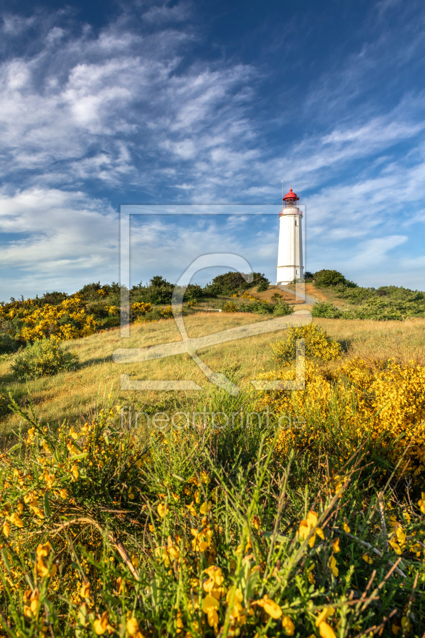 Bild-Nr.: 12291237 Leuchtturm auf der Ostsee Insel Hiddensee  erstellt von FotoPictures