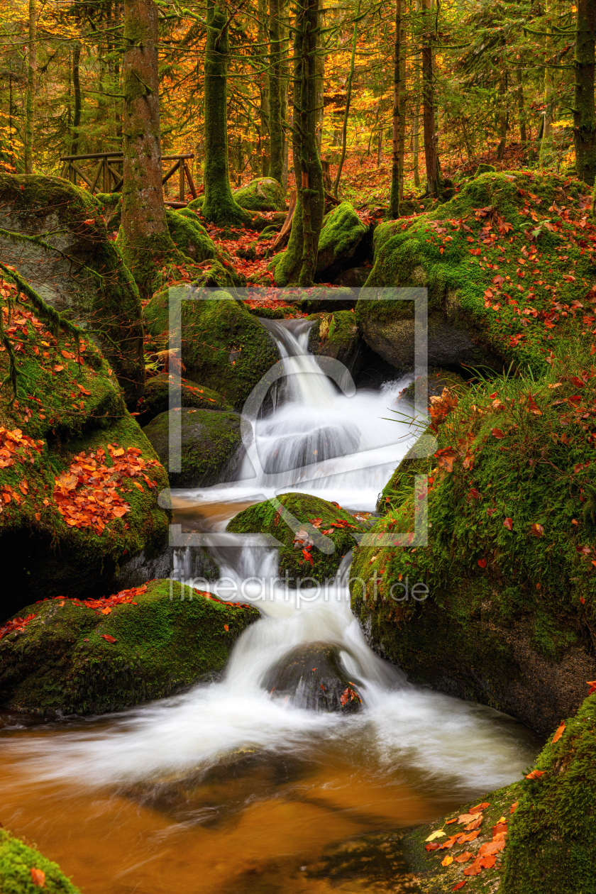 Bild-Nr.: 12292952 Herbstliche Waldlandschaft mit WIldbach erstellt von 