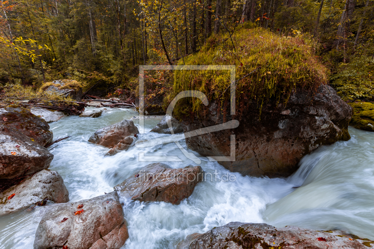 Bild-Nr.: 12293636 Herbst im Zauberwald erstellt von DirkR