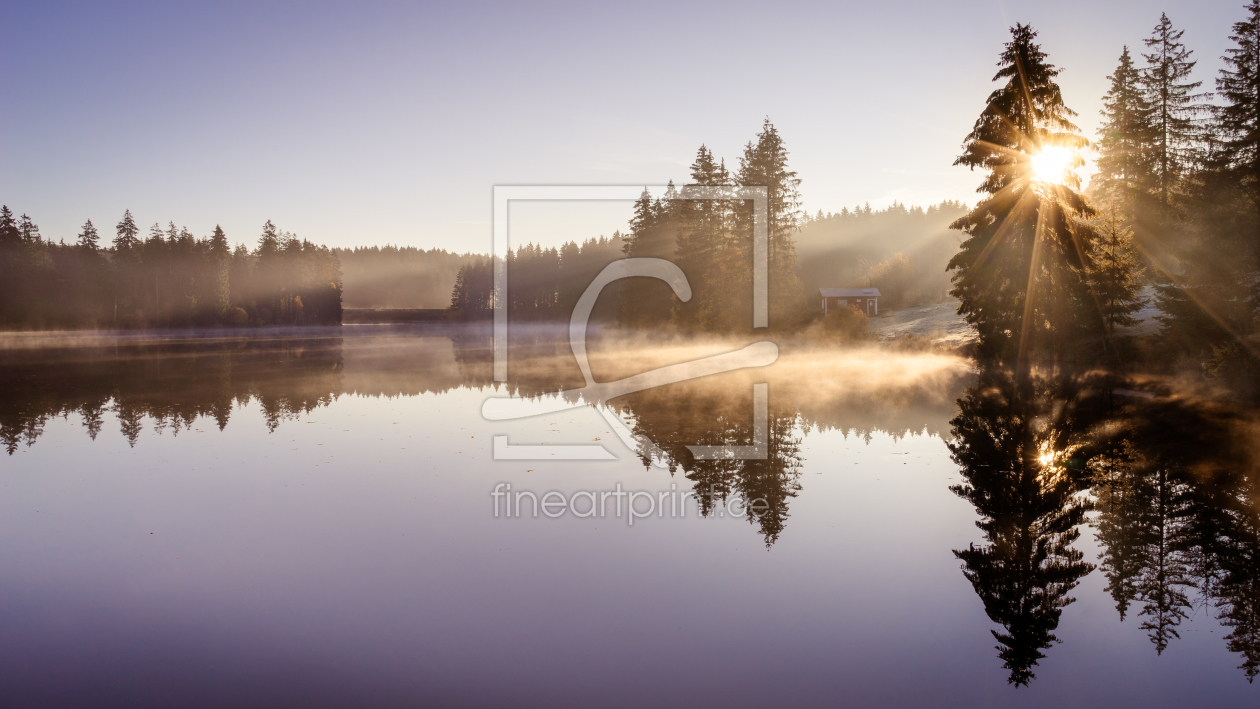 Bild-Nr.: 12295761 Der Ziegenberger Teich im Harz erstellt von Steffen Henze