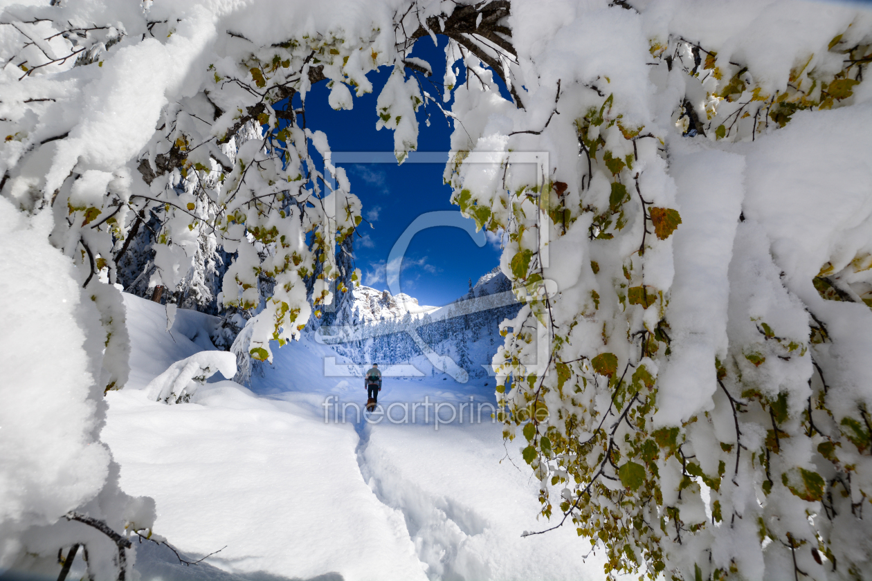 Bild-Nr.: 12302072 Winterspaziergang im Herbst erstellt von Bettina Schnittert