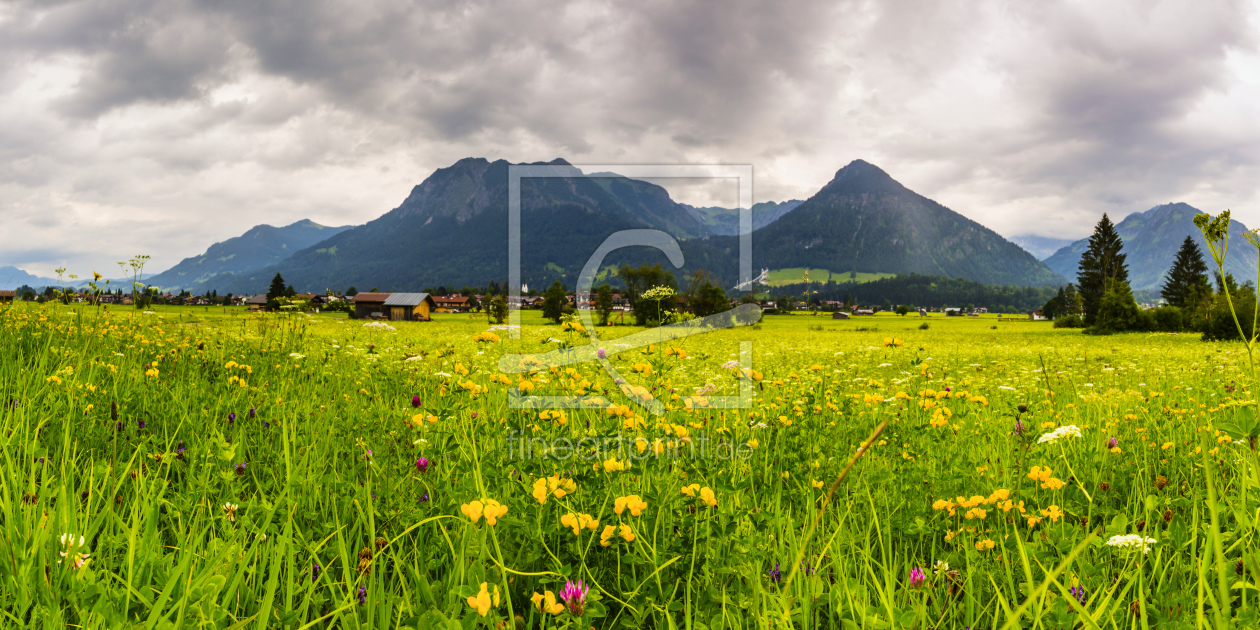 Bild-Nr.: 12302525 Sommerwiese erstellt von Walter G. Allgöwer