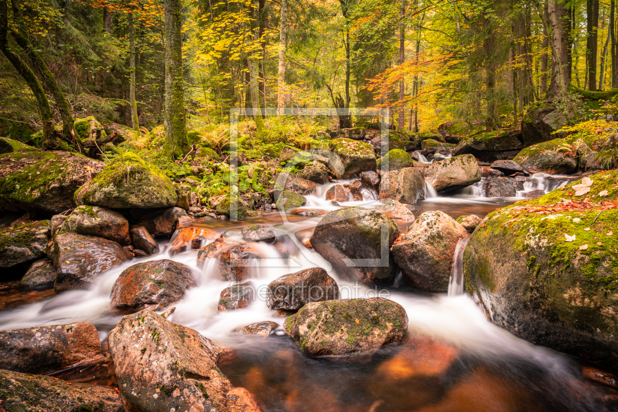 Bild-Nr.: 12303318 Bachlauf mit Wasserfall erstellt von PH-Photography
