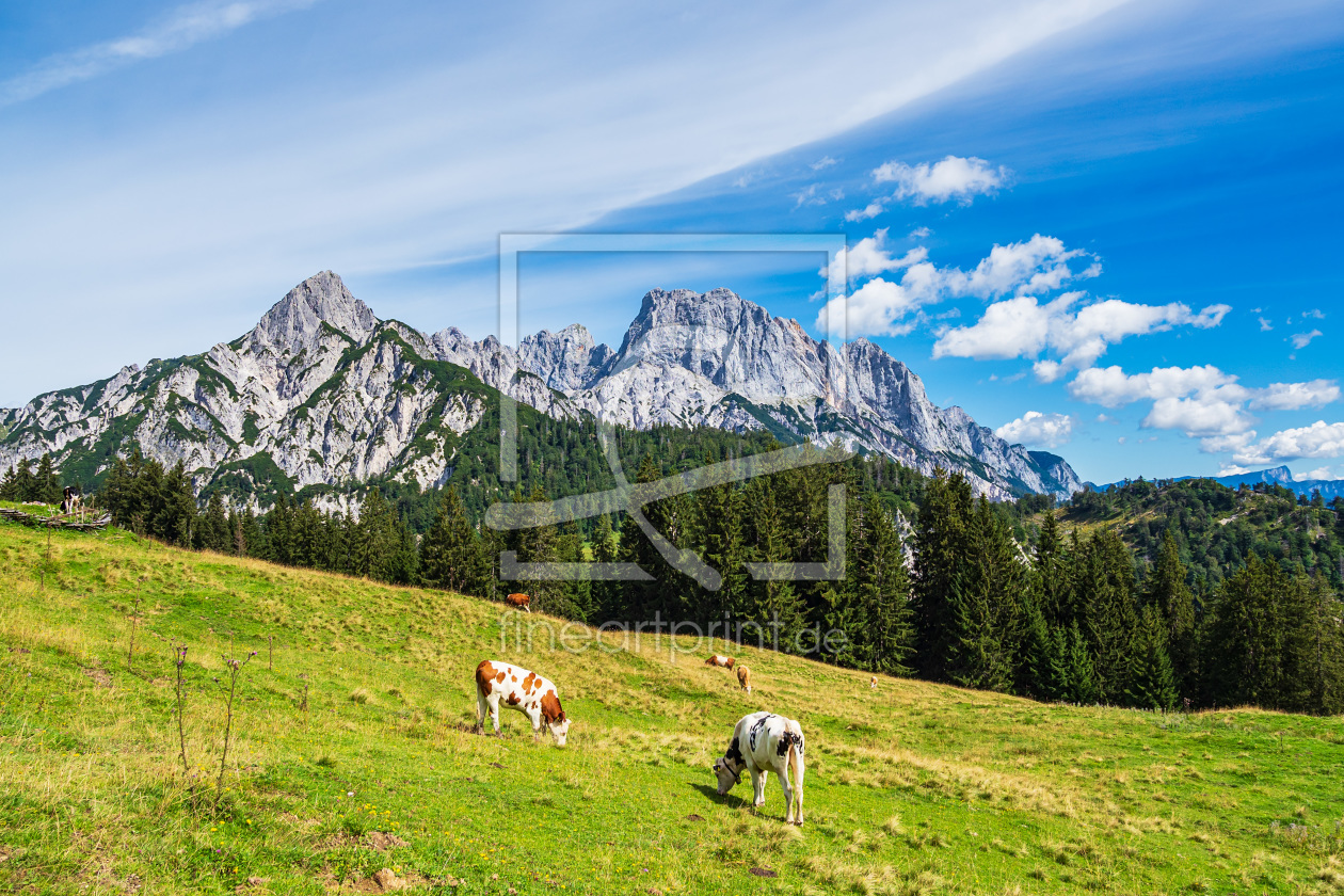 Bild-Nr.: 12303966 Blick auf die Litzlalm mit Kühen in Österreich erstellt von Rico Ködder