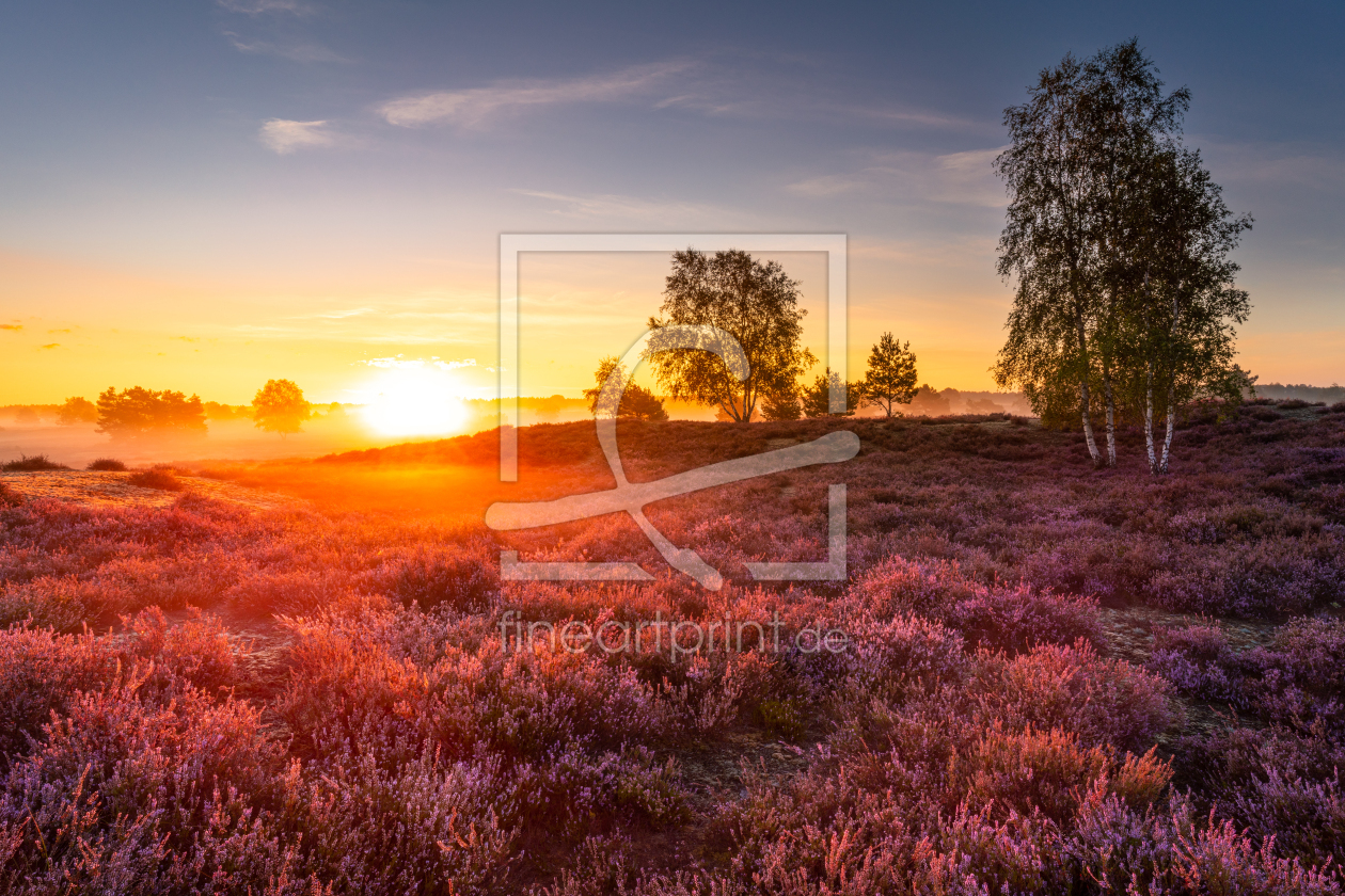 Bild-Nr.: 12305304 Nebel in der Heide erstellt von PH-Photography