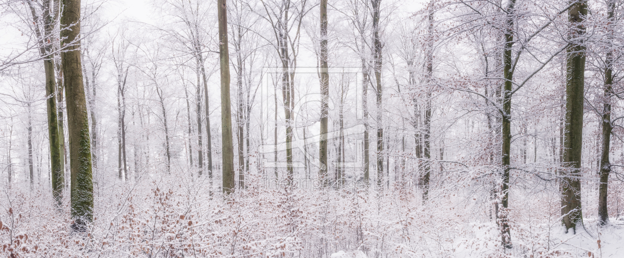 Bild-Nr.: 12306537 Winterwald erstellt von luxpediation