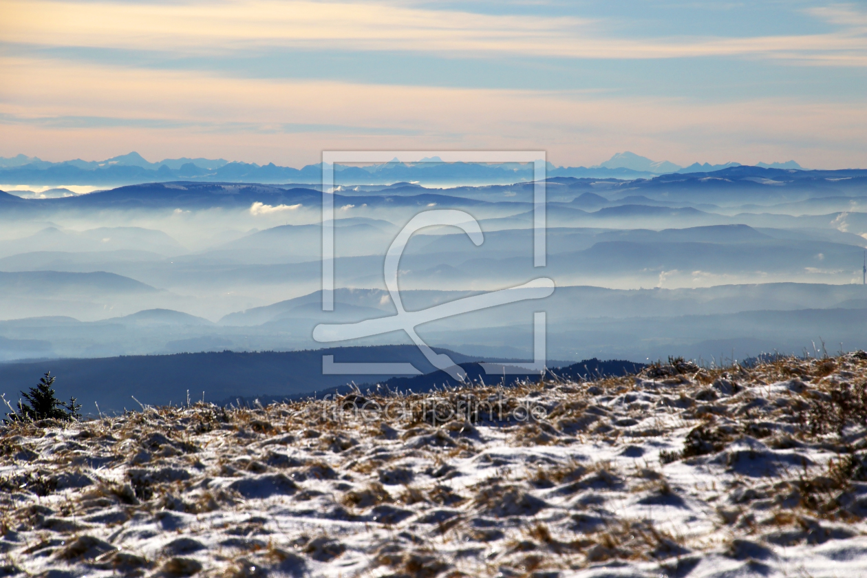 Bild-Nr.: 12308474 Belchen Blick zu den Schweizer Alpen  erstellt von Gerhard Albicker
