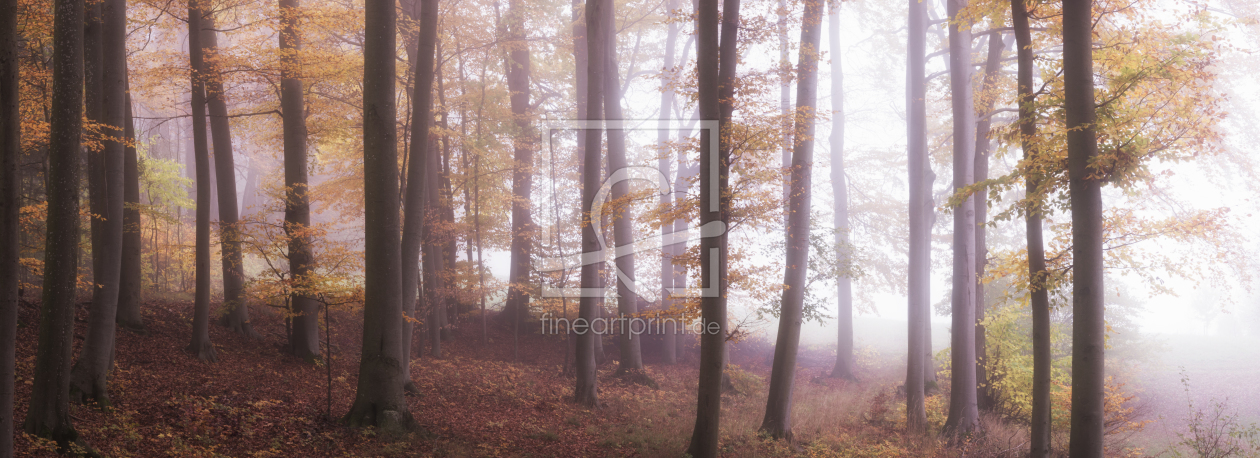 Bild-Nr.: 12315309 Herbstwald erstellt von luxpediation