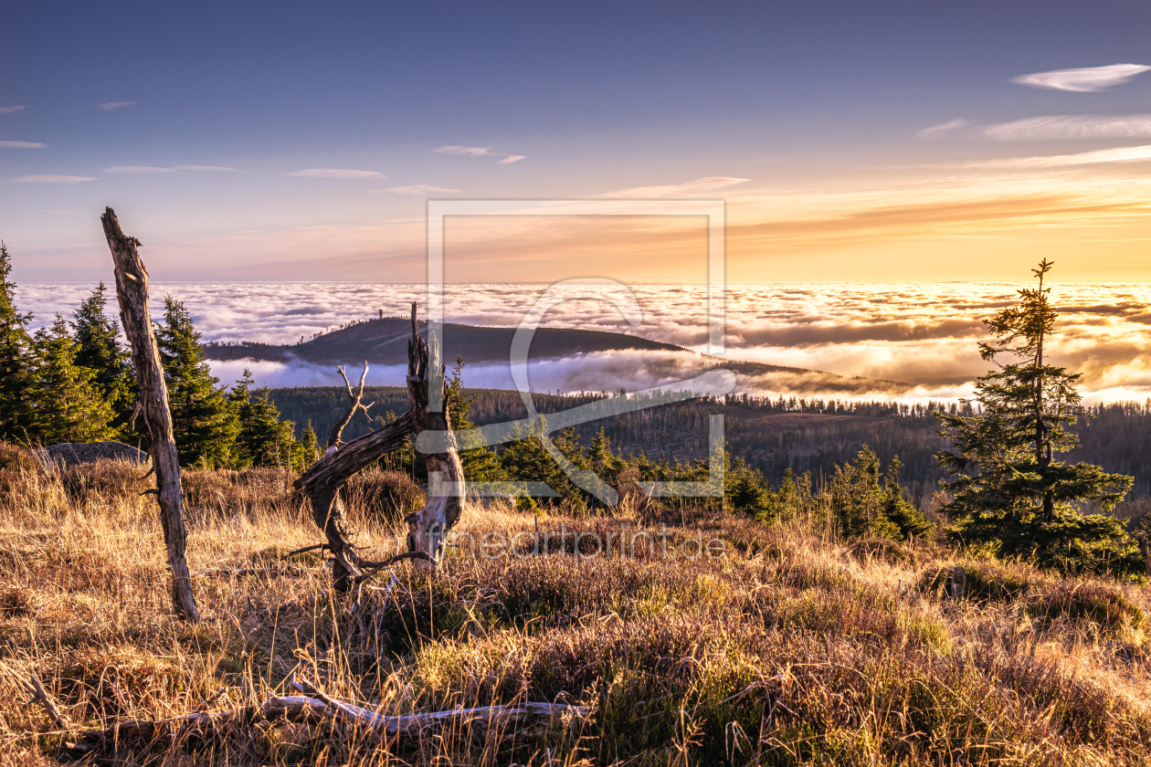 Bild-Nr.: 12320900 Blick zum Wurmberg im Harz erstellt von Steffen Henze