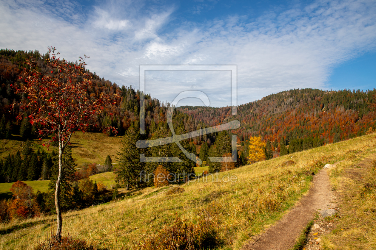 Bild-Nr.: 12329851 Blick ins Menzenschwander Albtal im Herbst erstellt von alexwolff68