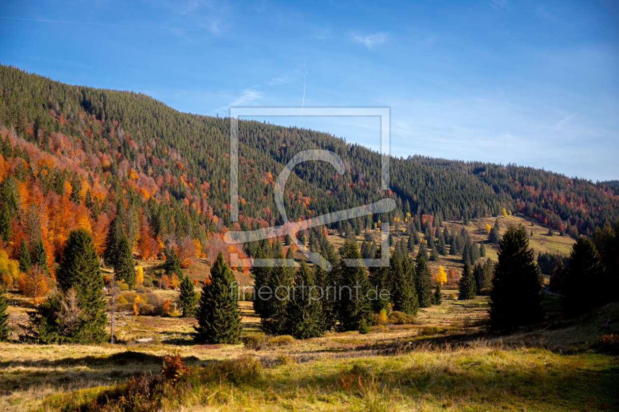 Bild-Nr.: 12329854 Blick ins Menzenschwander Albtal im Herbst erstellt von alexwolff68