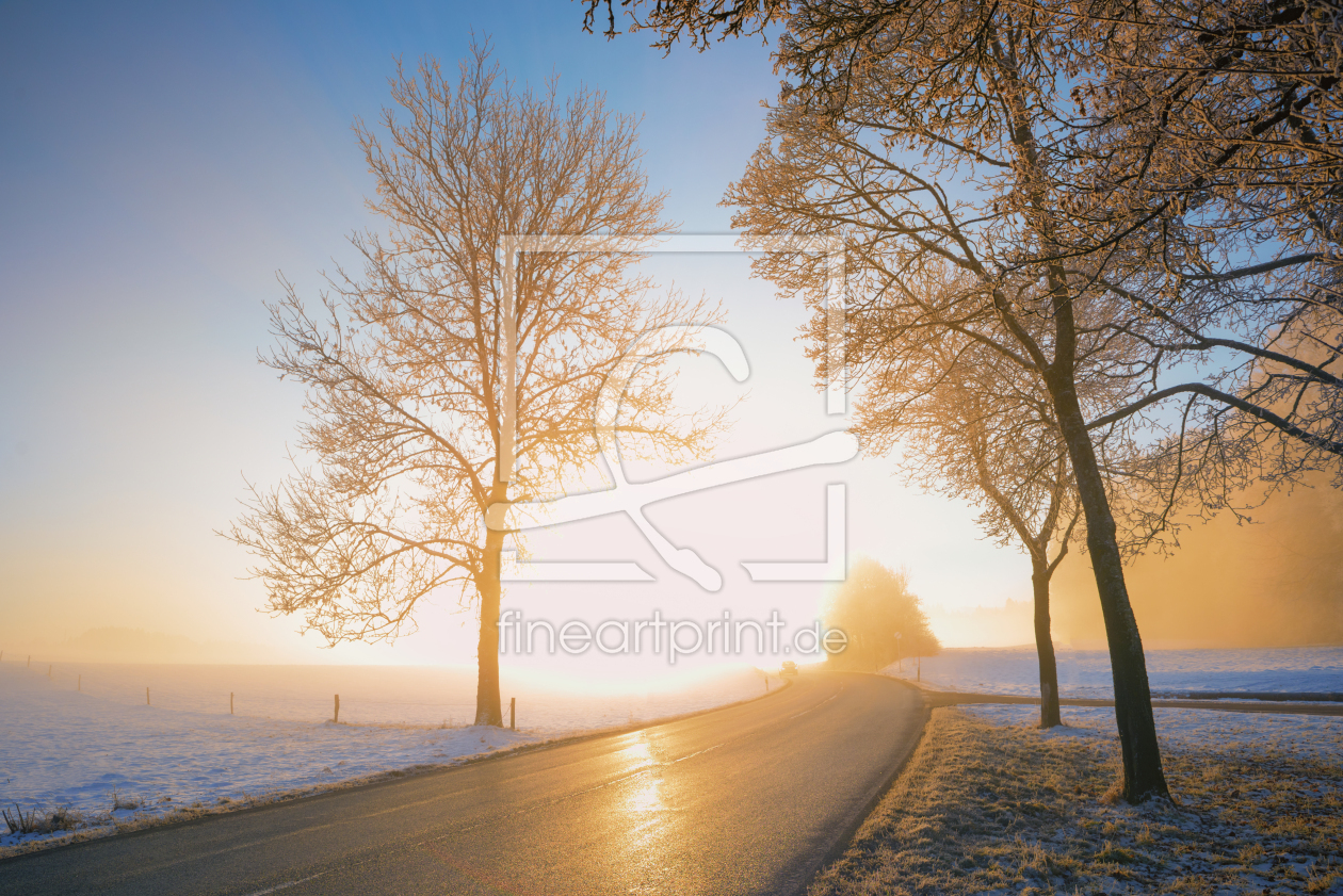 Bild-Nr.: 12333831 Landstraße im Wintermorgenlicht erstellt von SusaZoom