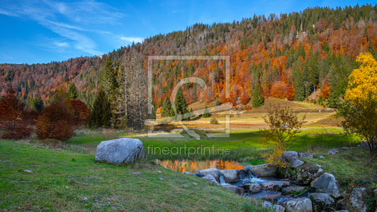 Bild-Nr.: 12339313 Menzenschwander Albtal im Herbst erstellt von alexwolff68