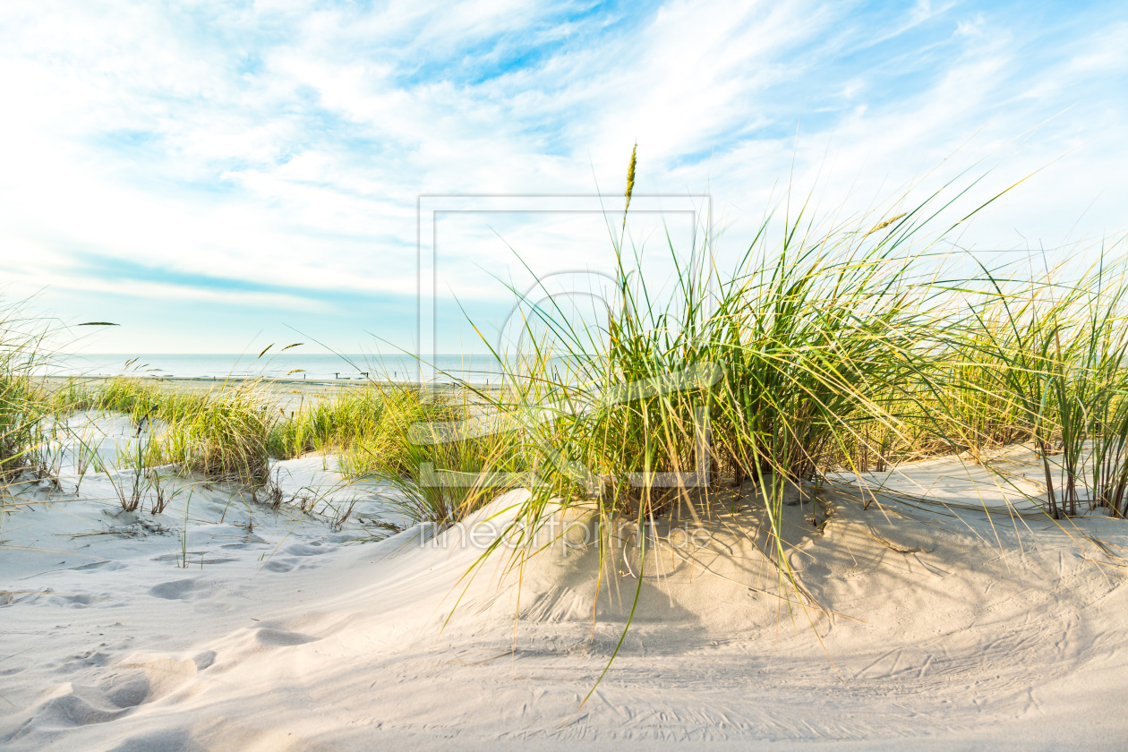 Bild-Nr.: 12347021 Feine Stranddünen    erstellt von Ursula Reins