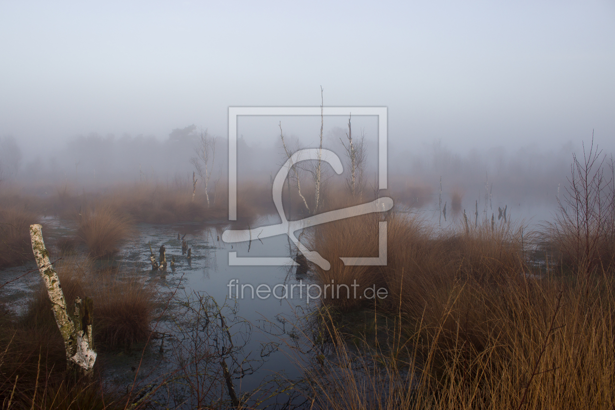 Bild-Nr.: 12348197 Moorland erstellt von yammay