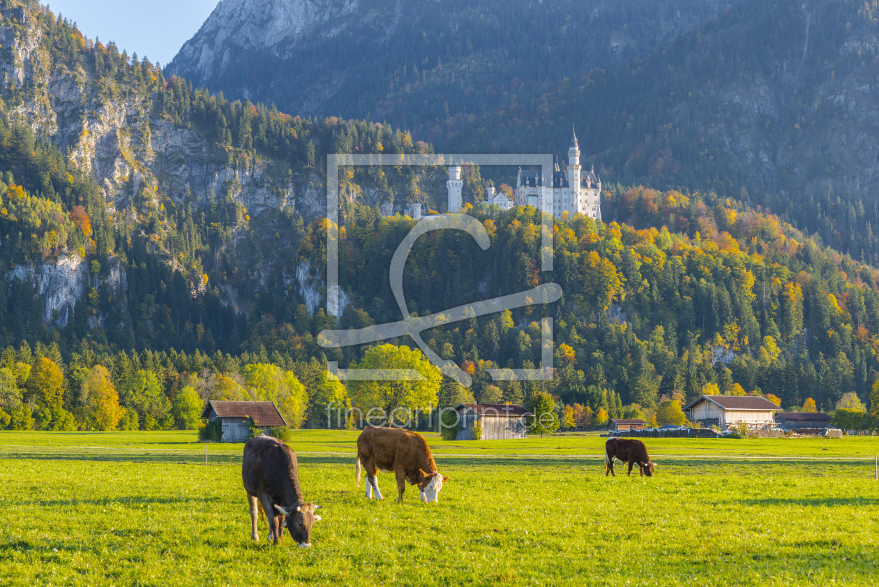 Bild-Nr.: 12352386 Neuschwanstein erstellt von Walter G. Allgöwer