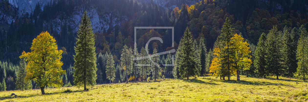 Bild-Nr.: 12353602 Herbst im Ostallgäu erstellt von Walter G. Allgöwer