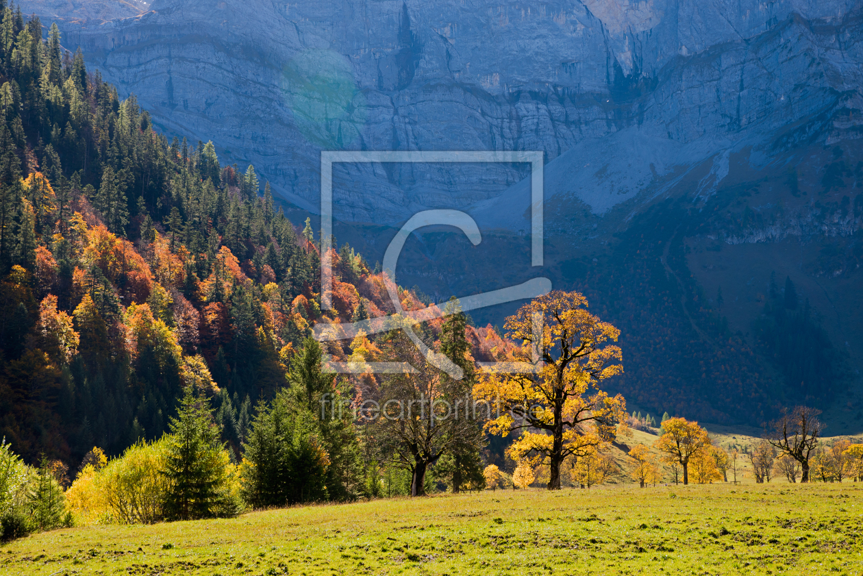 Bild-Nr.: 12361590 herbstlicher Bergwald im Karwendel erstellt von SusaZoom