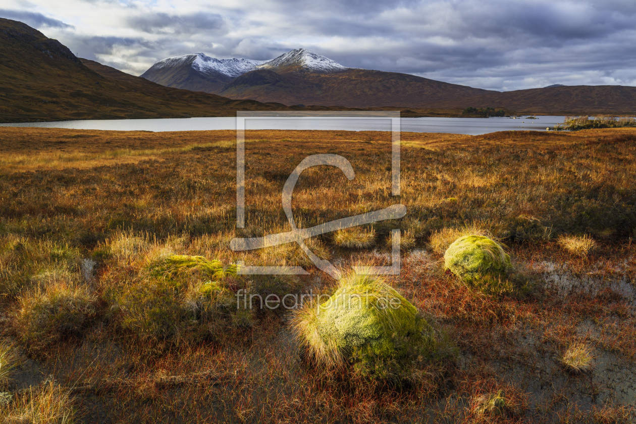 Bild-Nr.: 12362244 Lichtstimmung im Rannoch Moor erstellt von Daniela Beyer