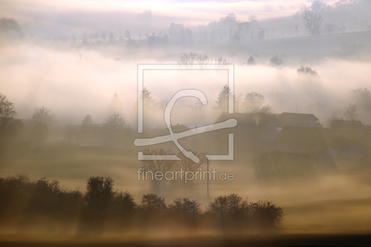 Bild-Nr.: 12362340 Mystischer Schwarzwald  erstellt von Gerhard Albicker