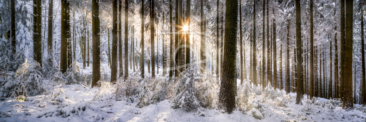 Bild-Nr.: 12363827 Verschneiter Wald im Sonnenlicht erstellt von eyetronic