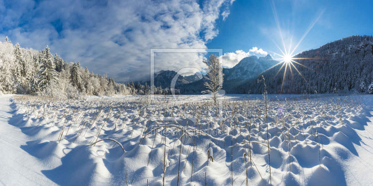 Bild-Nr.: 12366882 Schwansee im Winter erstellt von Walter G. Allgöwer