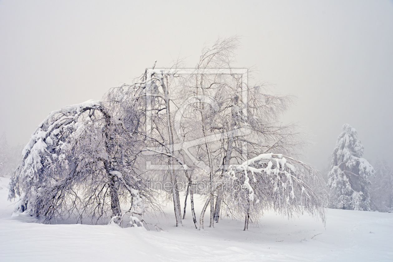 Bild-Nr.: 12367003 Winter erstellt von GUGIGEI