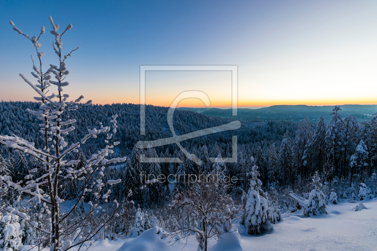 Bild-Nr.: 12368006 Winter im Schwarzwald erstellt von dieterich