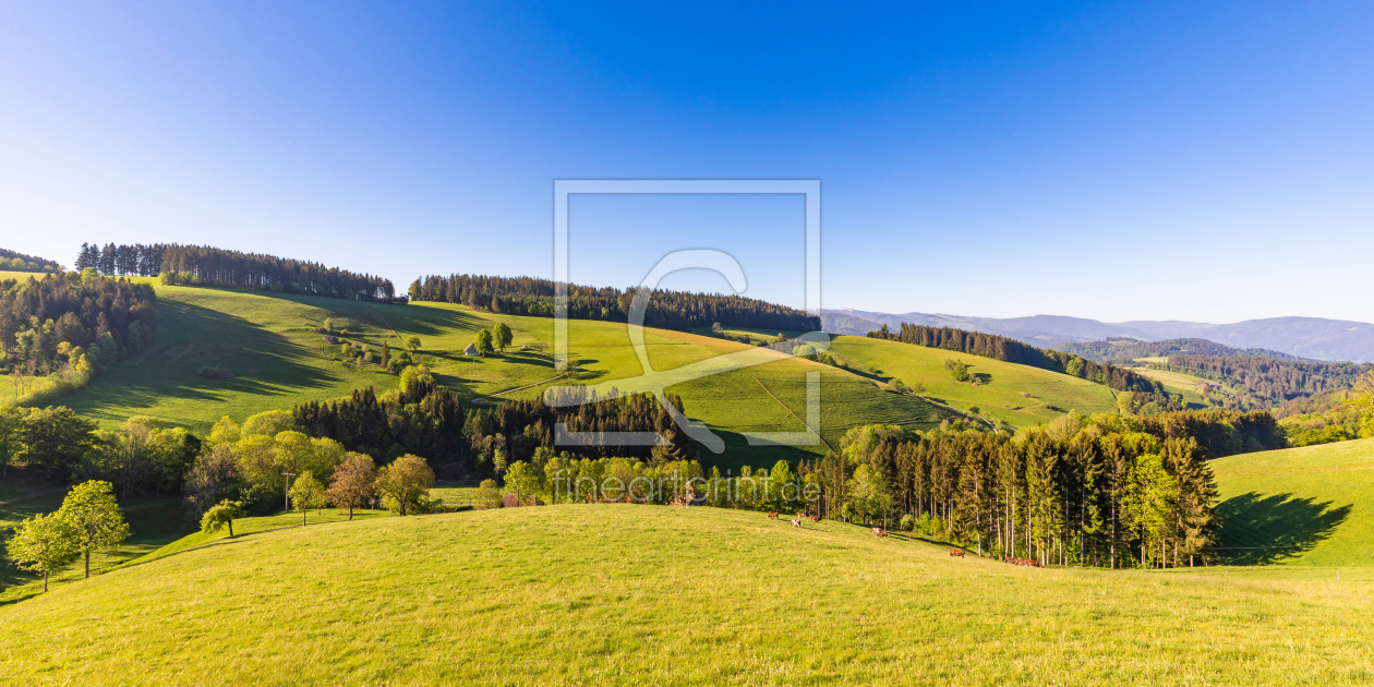 Bild-Nr.: 12368886 Frühling im Hochschwarzwald erstellt von dieterich