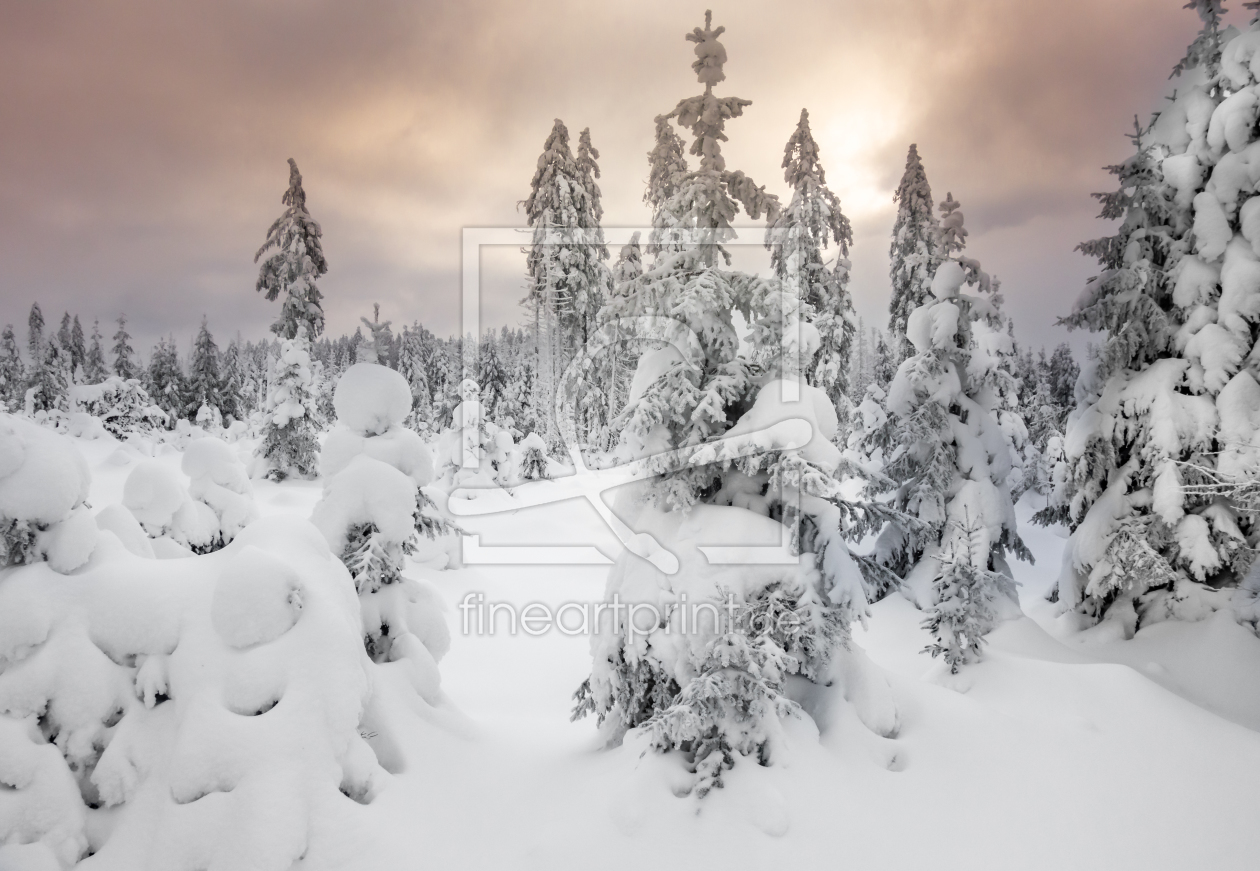 Bild-Nr.: 12371262 Winter im Harz erstellt von Steffen Henze