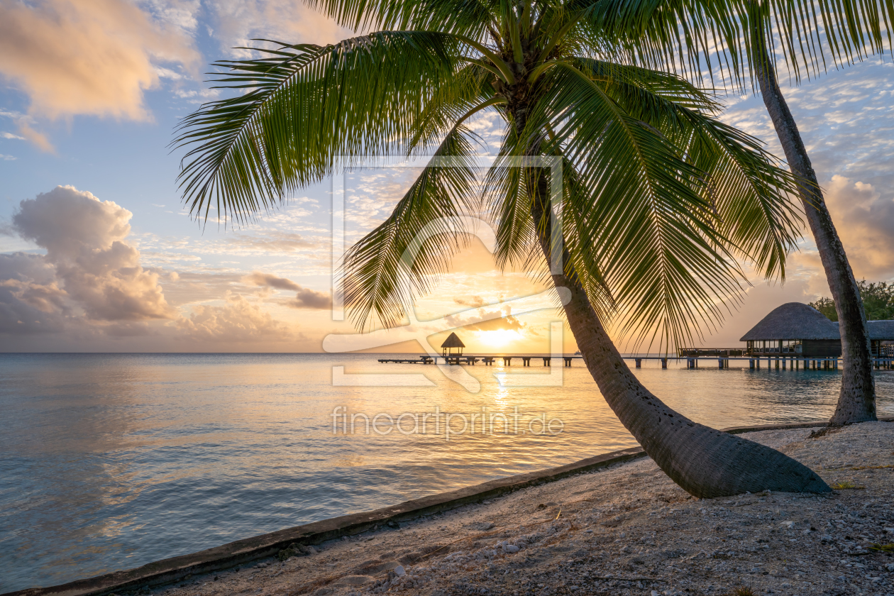 Bild-Nr.: 12385358 Sonnenuntergang am Palmenstrand erstellt von eyetronic
