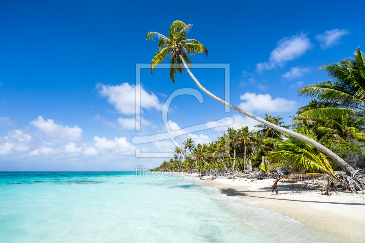 Bild-Nr.: 12386129 Urlaub am Palmenstrand erstellt von eyetronic