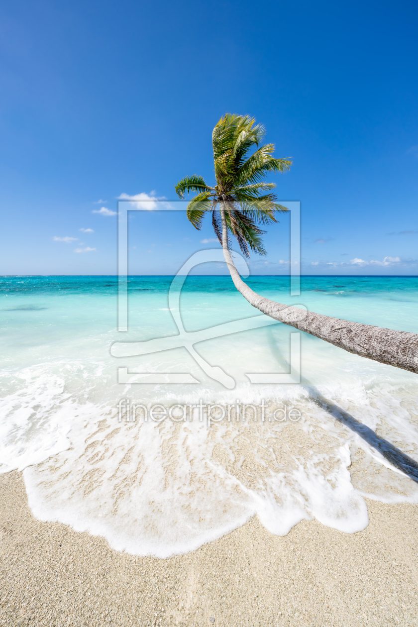 Bild-Nr.: 12386750 Kokospalme am Strand erstellt von eyetronic