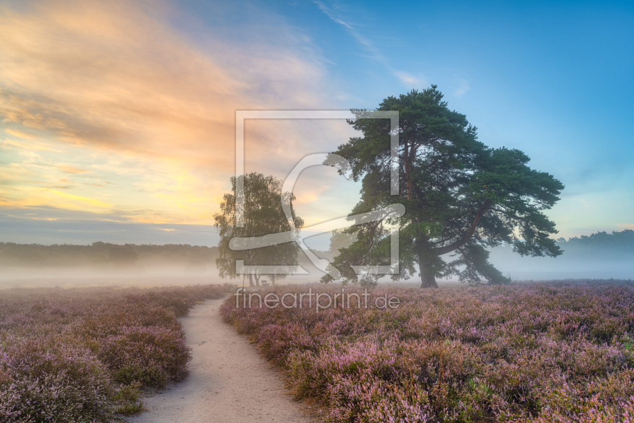 Bild-Nr.: 12386840 Morgens in der Heide erstellt von Michael Valjak