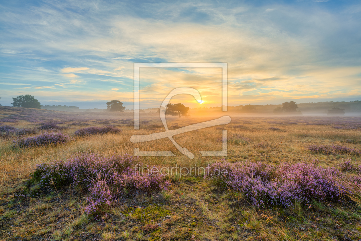 Bild-Nr.: 12386844 Sonnenaufgang in der Heide erstellt von Michael Valjak