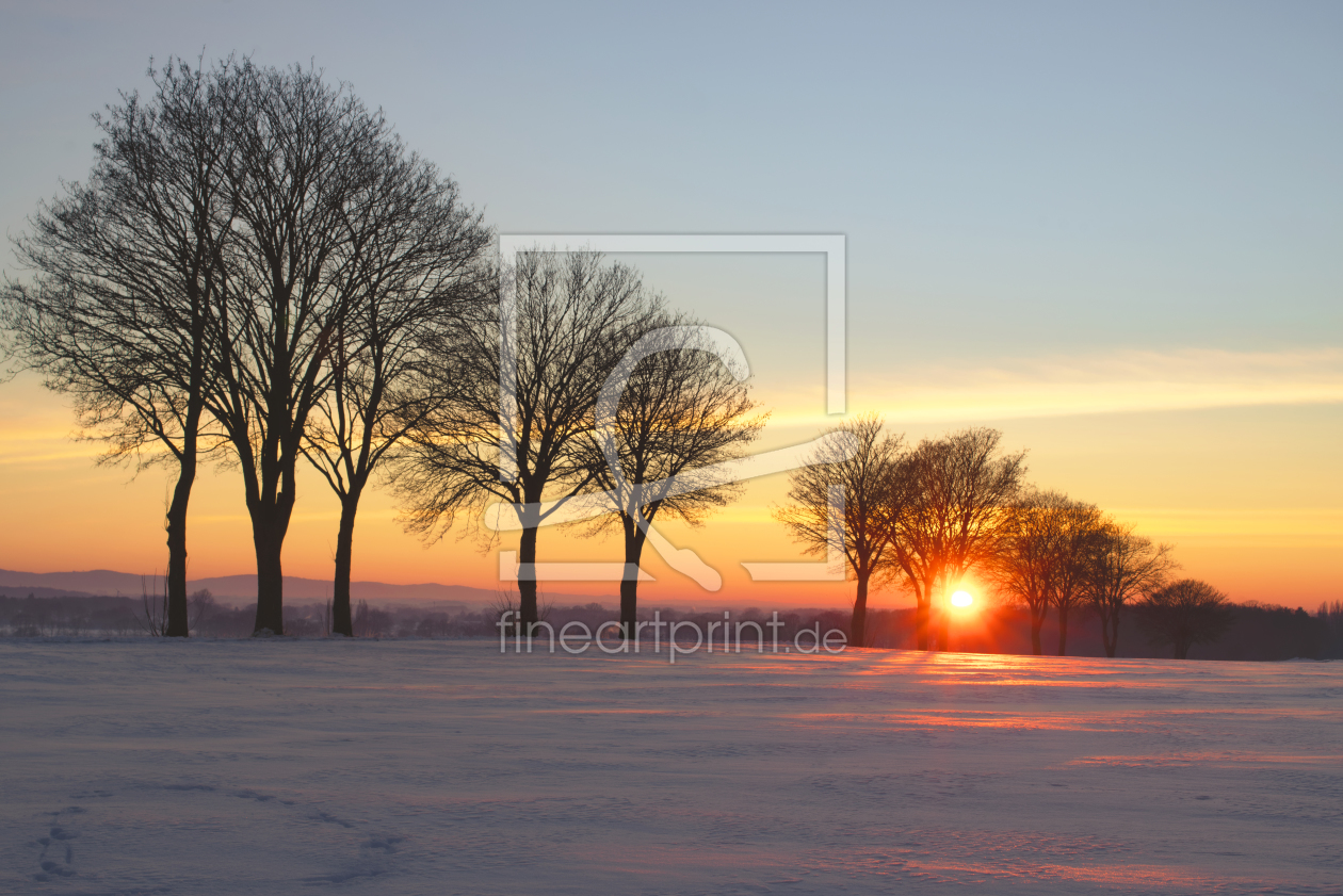 Bild-Nr.: 12387727 Winter Sonnenaufgang erstellt von Tanja Riedel