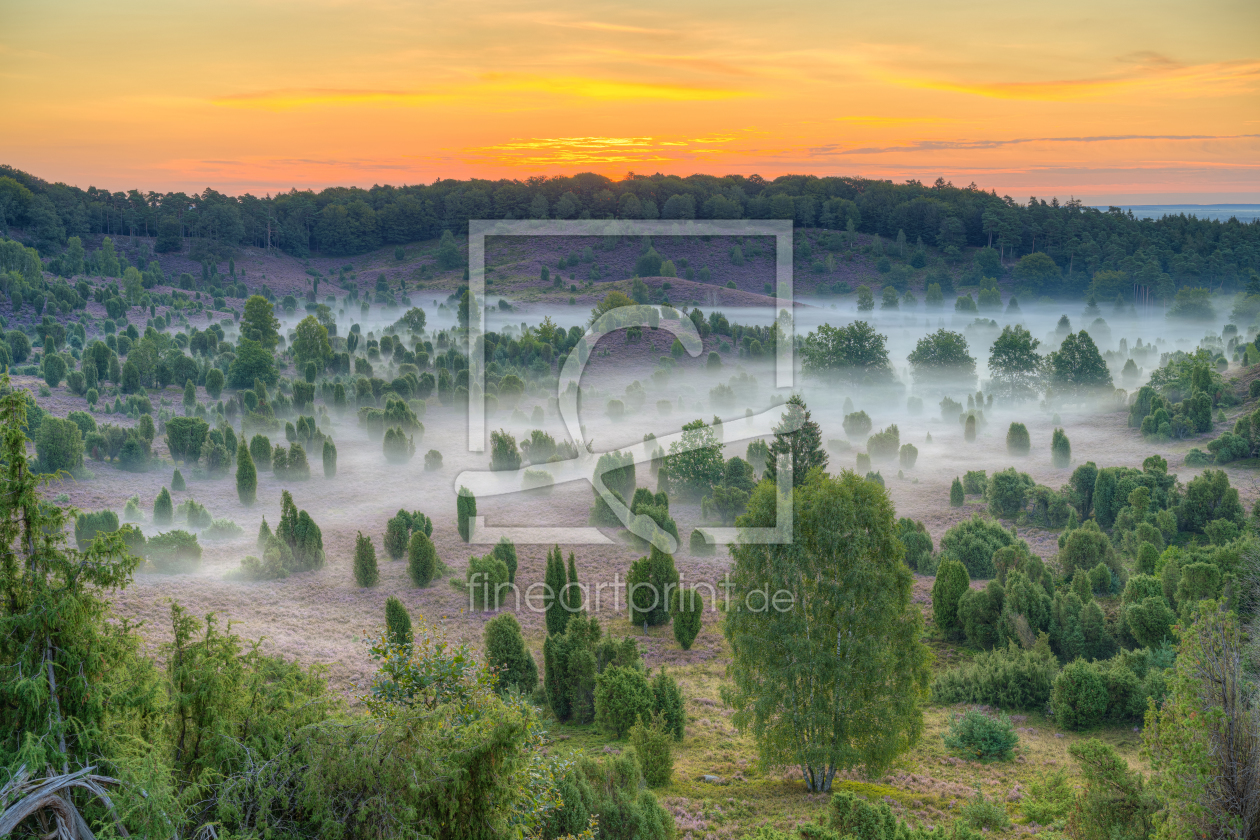 Bild-Nr.: 12387732 Totengrund in der Lüneburger Heide erstellt von Michael Valjak