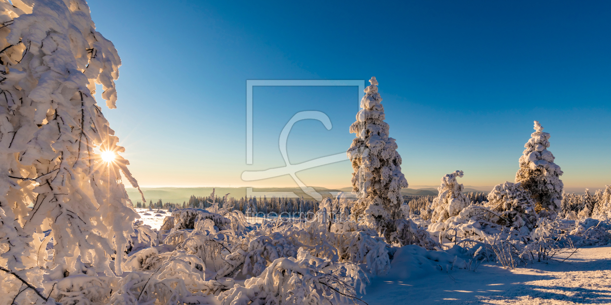 Bild-Nr.: 12389018 Winter am Schliffkopf im Schwarzwald erstellt von dieterich